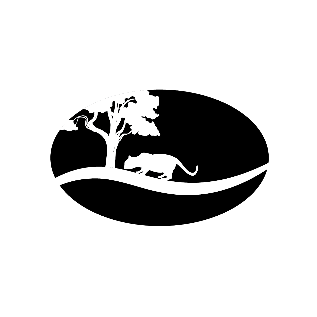 light logo